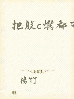 把朕c烂都可以封面