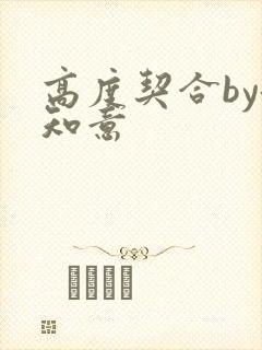 高度契合by洛知意封面