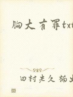 胸大有罪txt