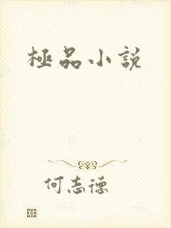 极品小说