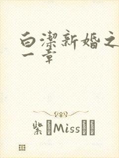 白洁新婚之夜第一章