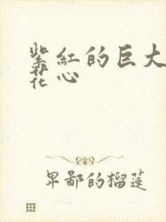 紫红的巨大顶开花心