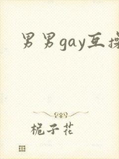 男男gay互操