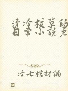 清冷校草的堕落日常小说免费阅读