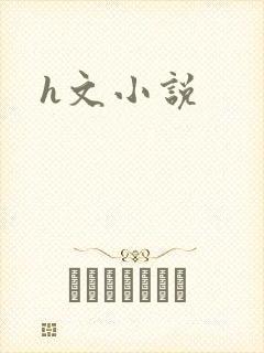 h文小说