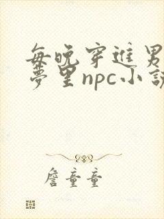 每晚穿进男神的梦里npc小说封面