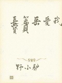 长篇岳爱我的大宝贝封面