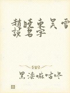 赵晓东吴雪晴小说名字