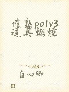 催熟po1v3道具燃烧