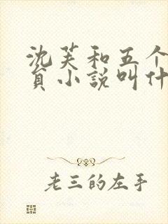 沈芙和五个消防员小说叫什么