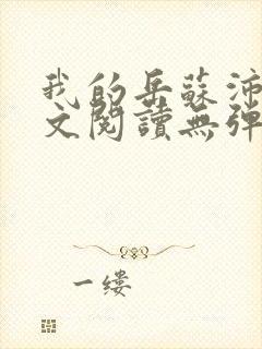 我的岳苏沛真全文阅读无弹窗笔趣阁