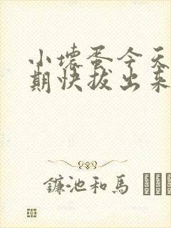 小坏蛋今天危险期快拔出来