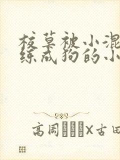 校草被小混混训练成狗的小说封面