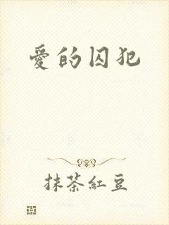 爱的囚犯封面