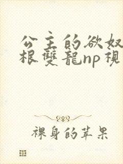 公主的欲奴h四根双龙np视频