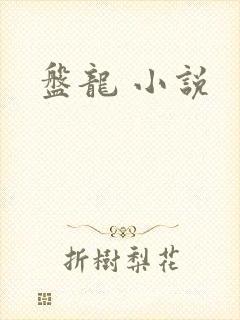 盘龙 小说