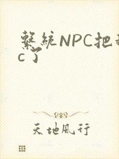 系统NPC把我c了封面