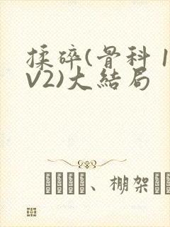 揉碎(骨科 1V2)大结局