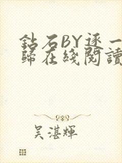 钻石BY逐一而归在线阅读