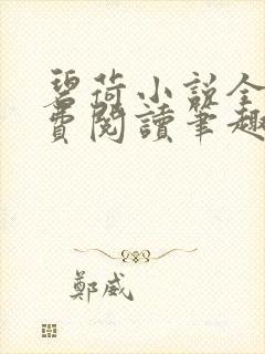 碧荷小说全文免费阅读笔趣阁封面