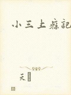 小三上瘾记