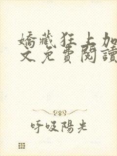 娇藏狂上加狂全文免费阅读笔趣阁