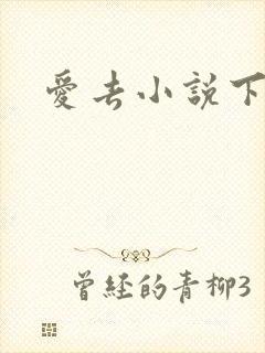 爱去小说下载网