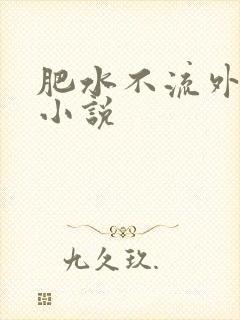 肥水不流外人田小说