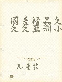 国产精品久久久久久亚洲小说