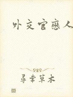 外交官恋人小说