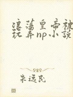 浪荡皇帝被多人玩弄np小说封面