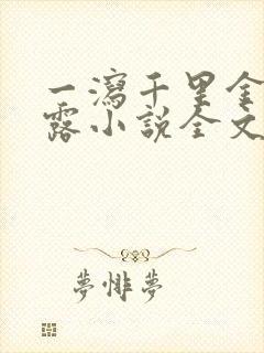 一泻千里金银花露小说全文免费阅读