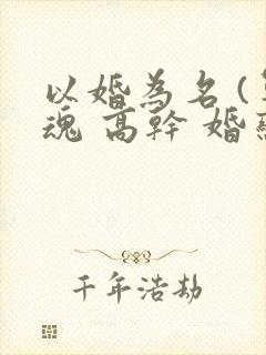 以婚为名 (军魂 高干 婚恋)