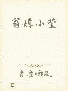 翁媳小莹封面