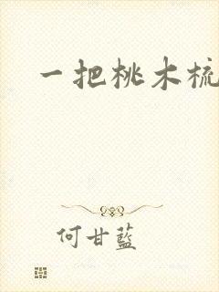 一把桃木梳封面