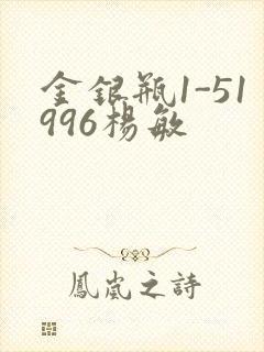 金银瓶1-51996杨敏封面
