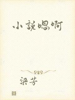 小说嗯啊