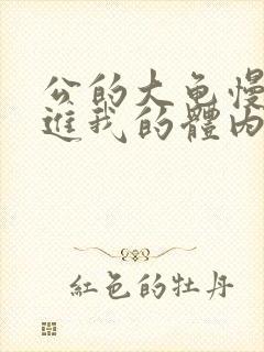 公的大龟慢慢挺进我的体内视频