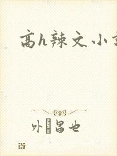 高h辣文小说