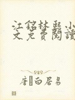 江铭林熙小说全文免费阅读