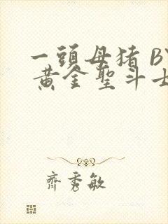 一头母猪 BY 黄金圣斗士封面