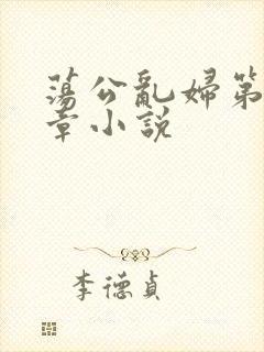 荡公乱妇第51章小说