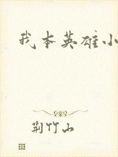 我本英雄小说