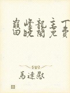 巅峰龙主丁长顺田晓兰免费阅读