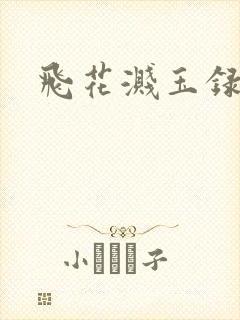 飞花溅玉录