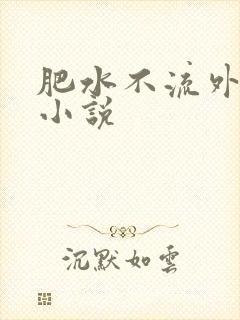 肥水不流外人田小说