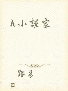 h小说家