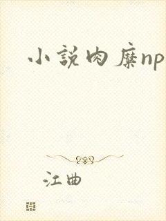 小说肉糜np封面