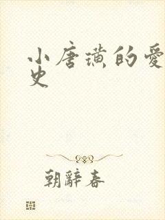 小唐璜的爱情历史