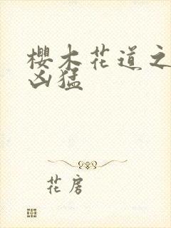 樱木花道之重生凶猛